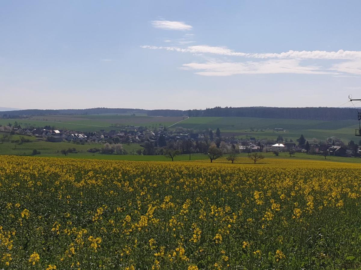 Pension Zum Adler Limbach  المظهر الخارجي الصورة